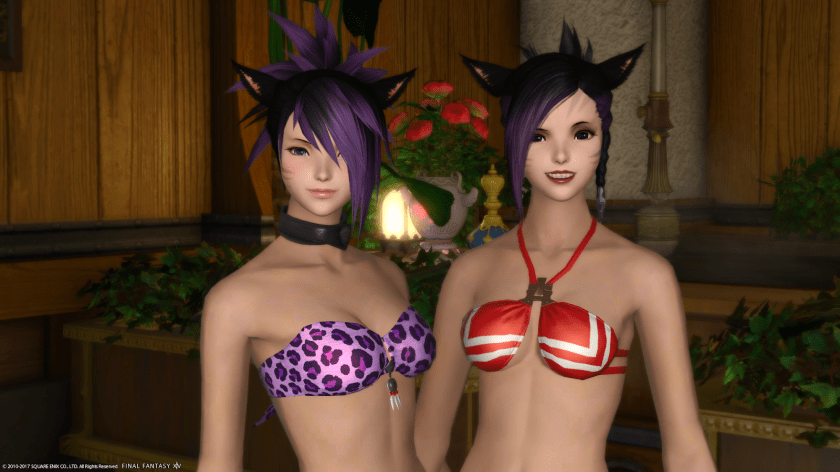 dd9d6-ffxiv_07122017_225556