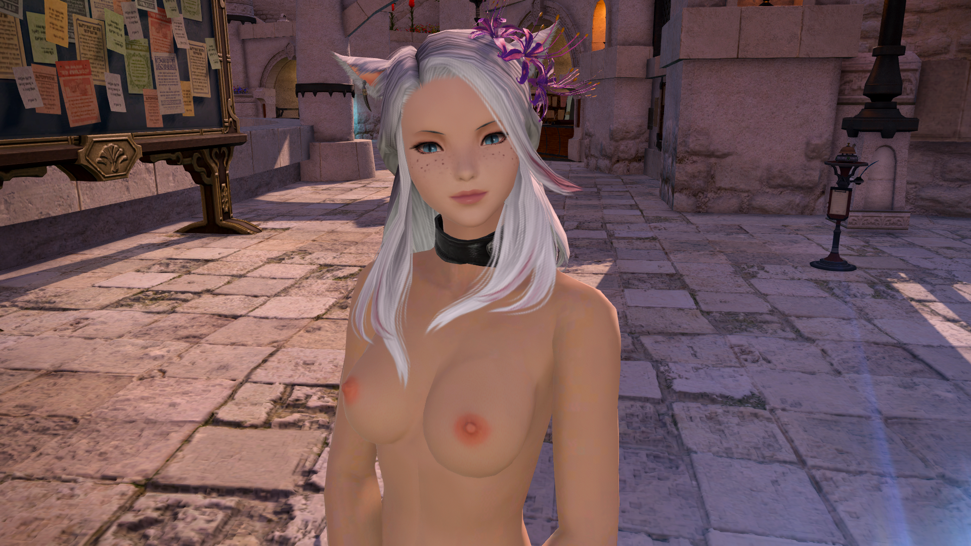 ffxiv_dx11 2017-12-08 20-17-54