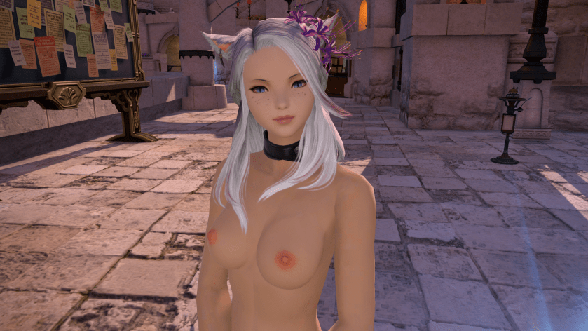 ffxiv_dx11 2017-12-08 20-17-54