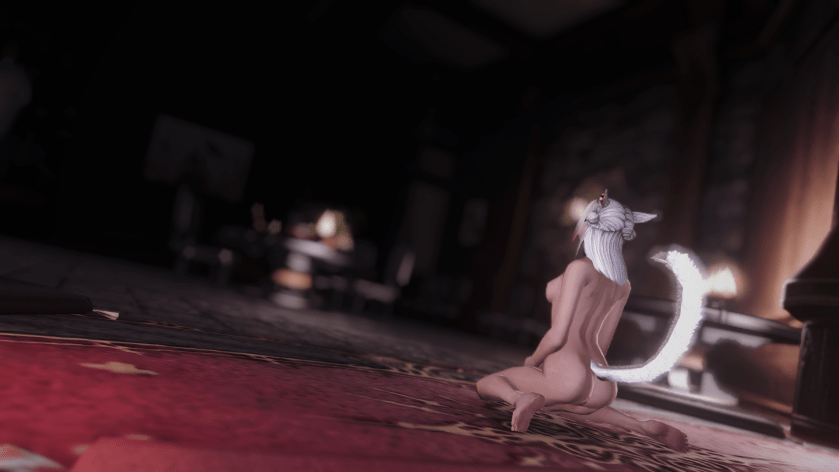 ffxiv_dx11 2017-12-14 22-09-32