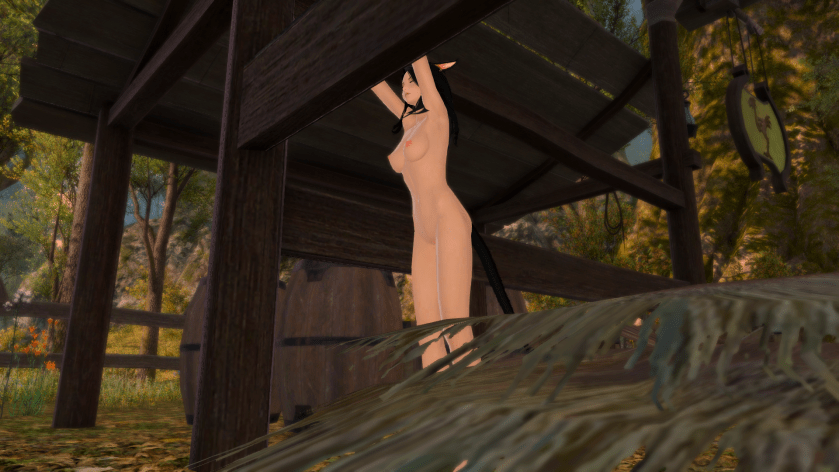 ffxiv_dx11 2017-12-17 22-28-13