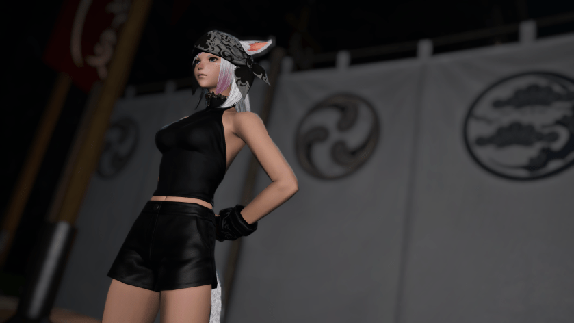 ffxiv_dx11 2018-01-08 19-07-37