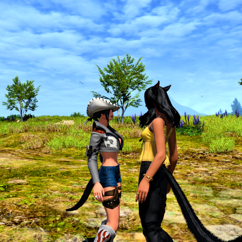 ffxiv_dx11 2018-05-20 08-31-48