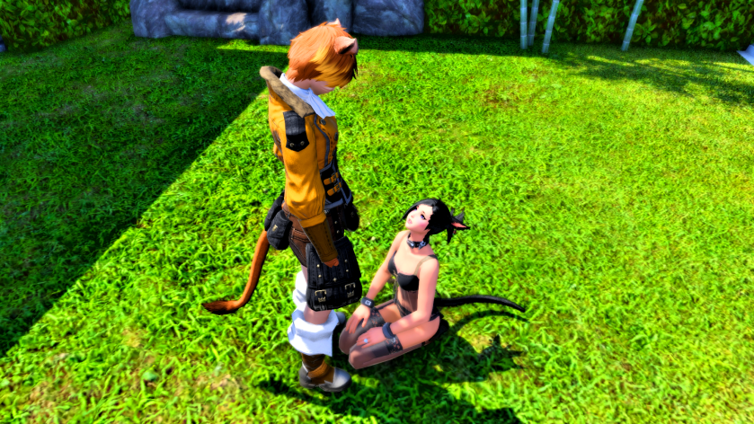 ffxiv_dx11 2018-05-11 21-36-52