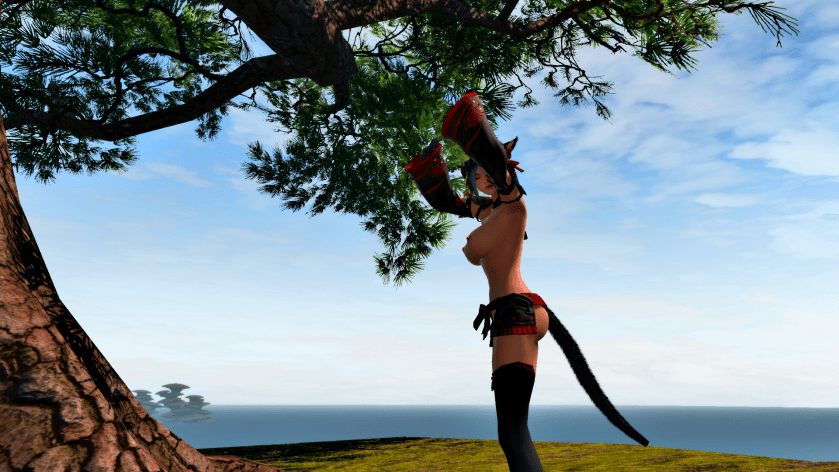 ffxiv_dx11 2018-06-19 21-03-16