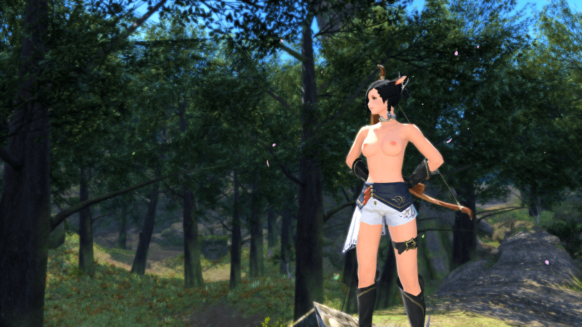 ffxiv_dx11 2018-01-20 10-33-06.png